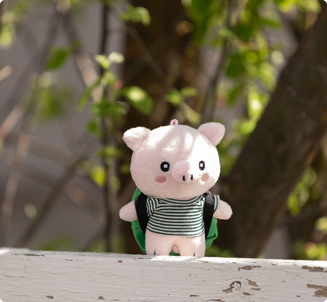 갤러리 5